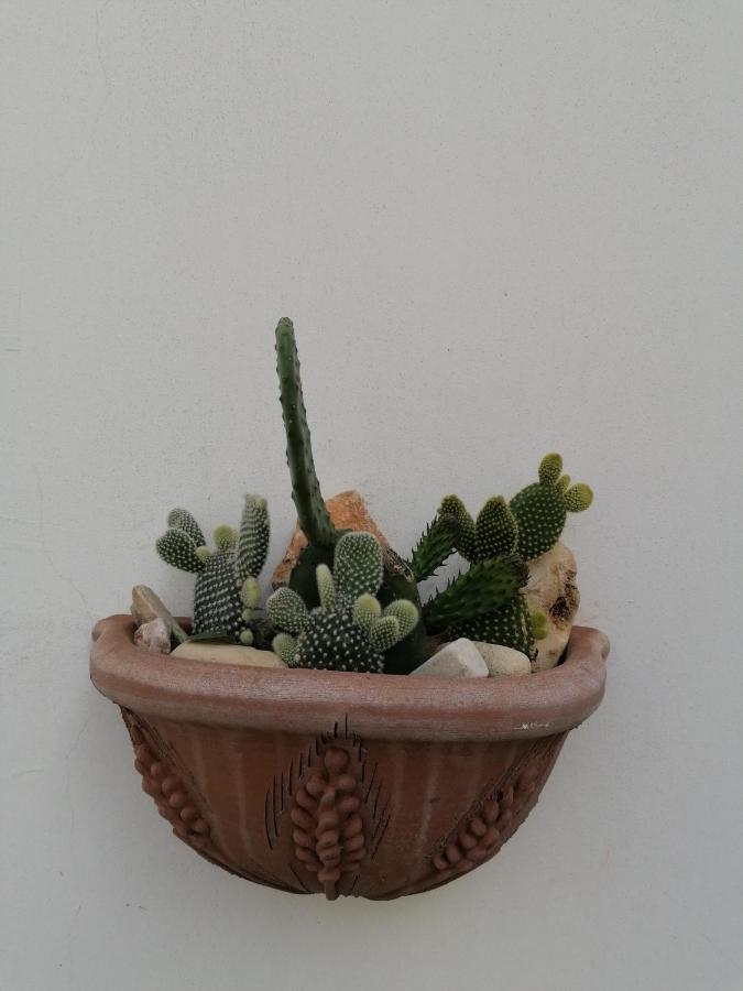 Casa Low Cost Tuglie Luaran gambar